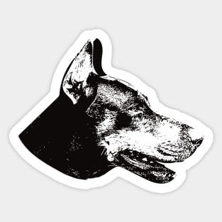 Dobie Doberman Pinscher Sticker